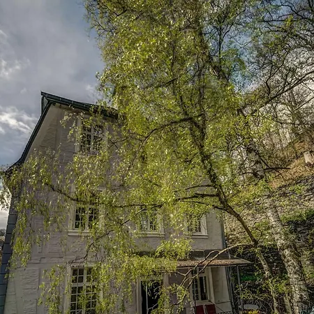 Apartment Haus Barkhausen *